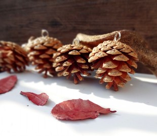 包邮ZAKA天然东北油松干花包圣诞装饰带钉松果挂件摆件果摄影道具