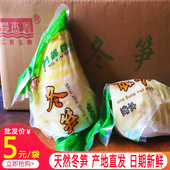 冬笋 现挖春笋冬笋水煮清水笋火锅笋尖 竹笋野生 新鲜 20斤整箱