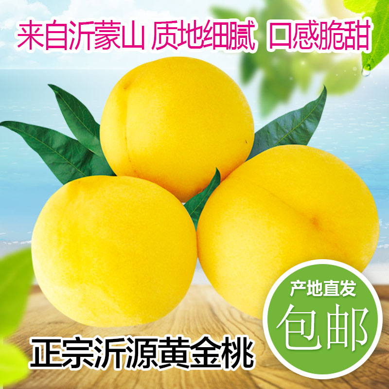 黄桃新鲜水果黄毛桃当季整箱山东沂源黄金蜜桃特大果锦绣现摘现货