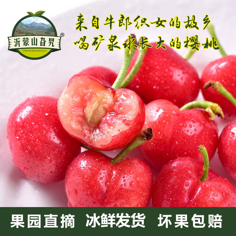 现摘沂源大樱桃非车厘子酸甜新鲜水果孕妇当季先锋萨米拖随时令发