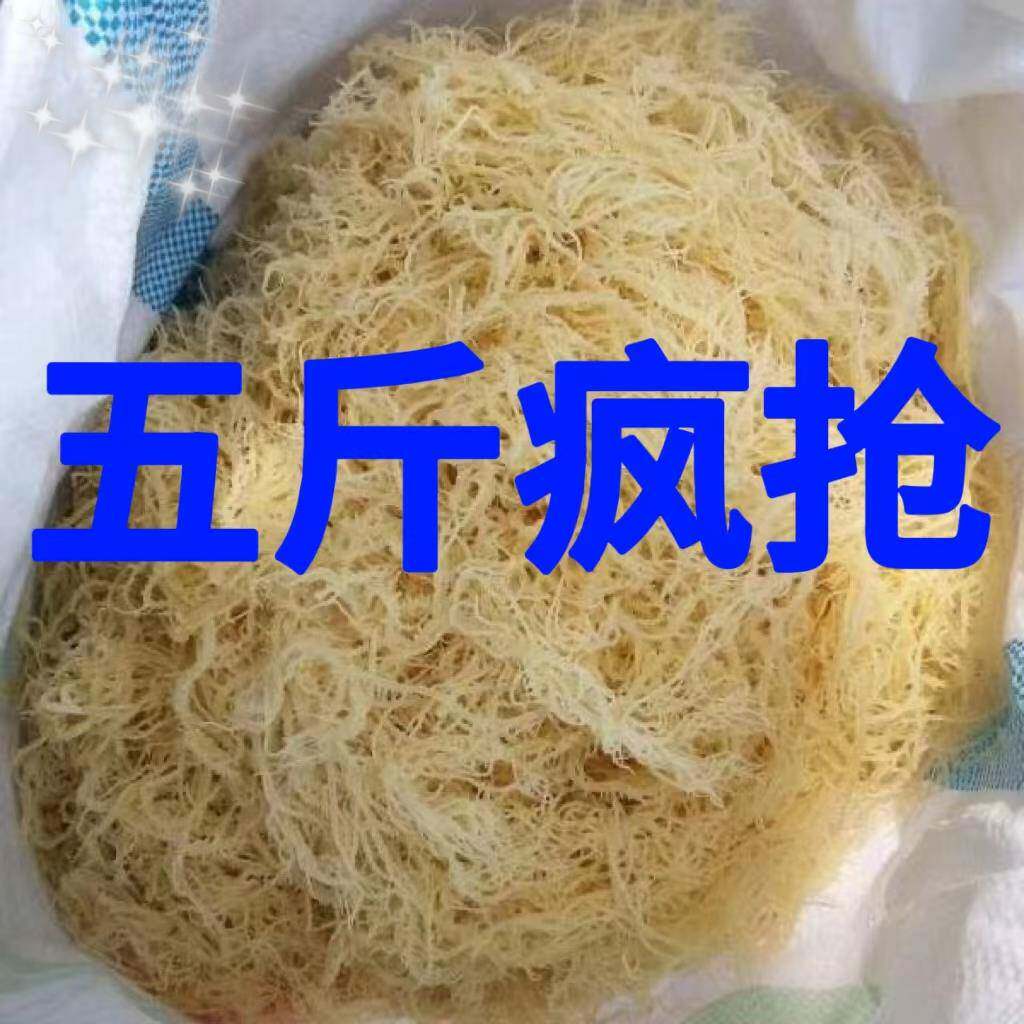 盐渍龙须菜500克海石花石花菜鹿角菜海新鲜海藻凉拌菜素菜