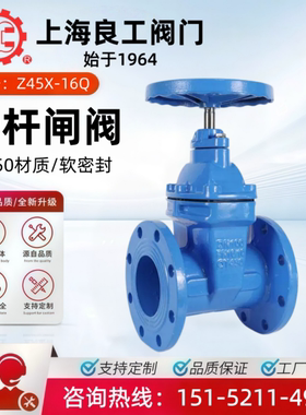 上海良工阀门暗杆Z45X-16Q明杆闸阀Z41X软密封法兰弹性座封球磨80