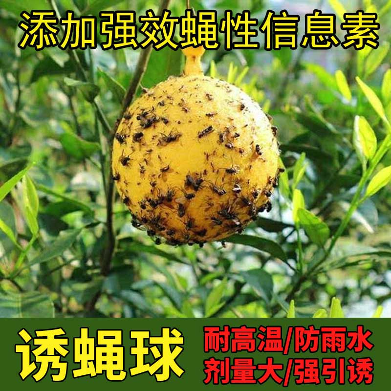 果蝇诱捕器果园户外苍蝇神器飞虫捕捉球防水一次性果虫诱饵粘蝇纸