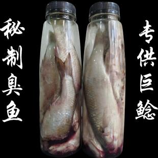 臭鱼钓鲶鱼饵恶臭钓饵臭鱼王鲶鱼黄颡鱼塘鲺江河湖库野钓野包邮