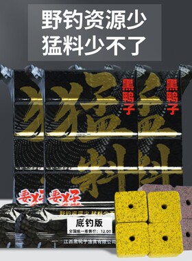 黑鸭子猛料方块饵海竿抛竿