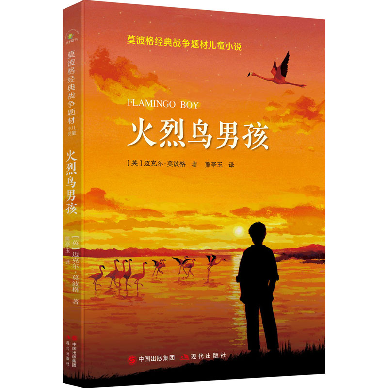 火烈鸟男孩莫波格经典战争题材儿童小说 8-13岁青少年经典文学阅读作品平装二次世界大战吉卜赛人犹太人美好人性现代出版社-封面