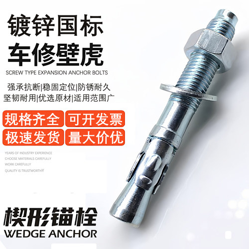 车修壁虎膨胀螺丝电梯膨胀抗震