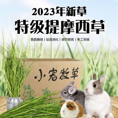 兔子豚鼠龙猫提摩西草优源包邮