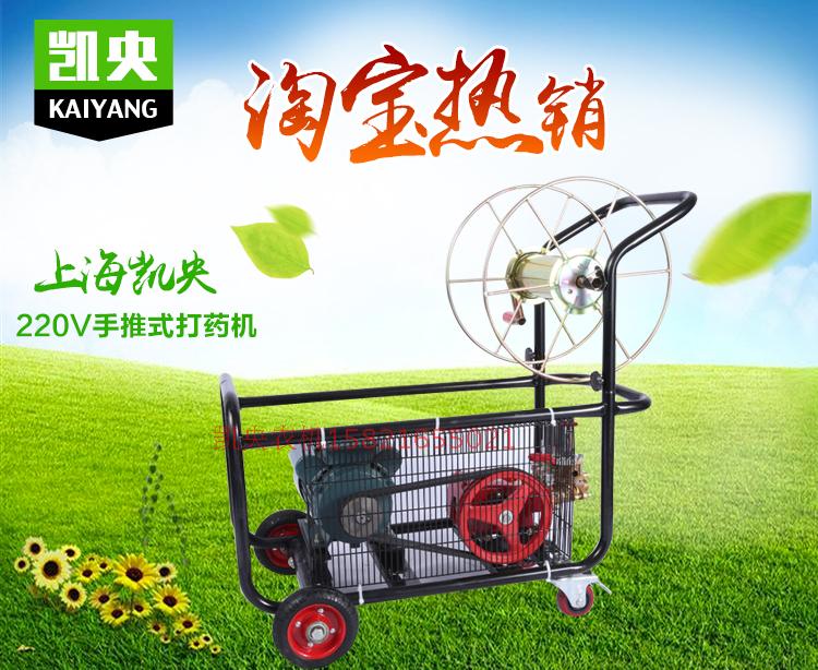 220v电动农用果树喷雾器农用机动高压喷雾器园林打药机电机农药机