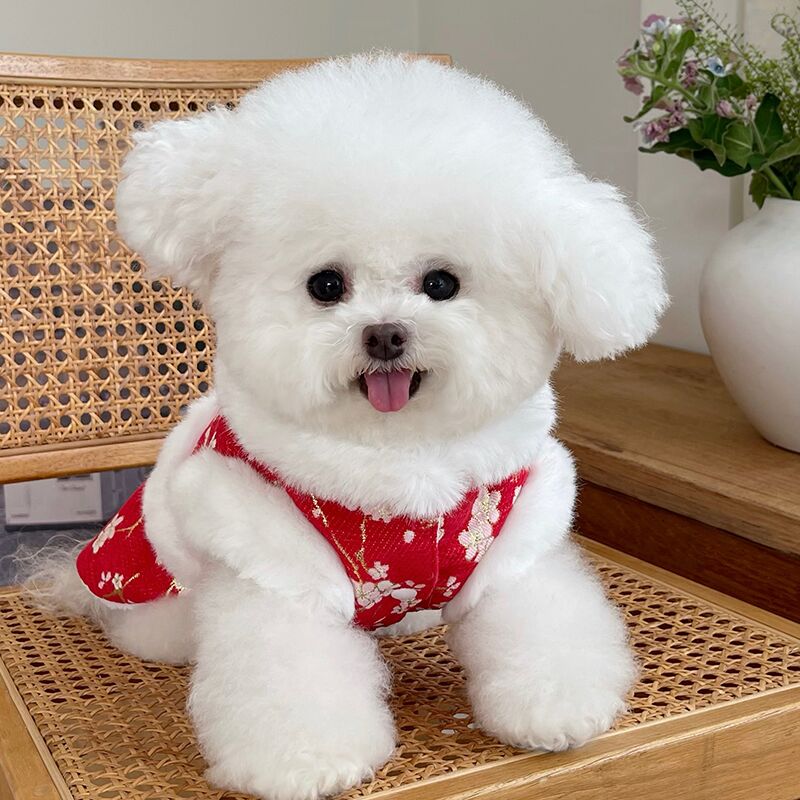 宠物衣服秋冬新款加绒新年服唐装裙子泰迪比熊狗狗猫咪过年拜年服