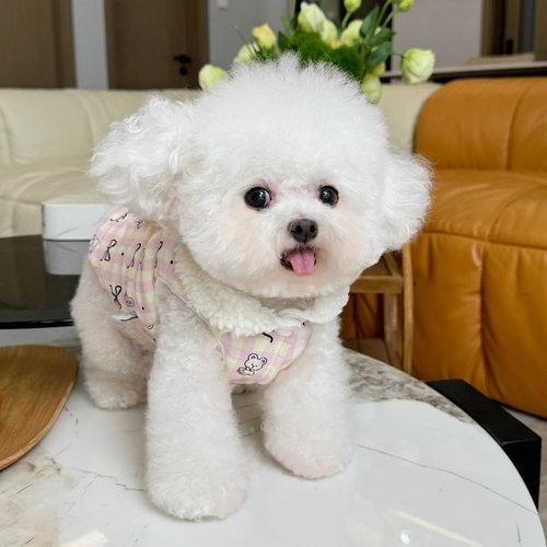 宠物衣服秋冬新款加棉加绒娃娃领马甲开衫背心狗狗猫咪牵引扣棉服