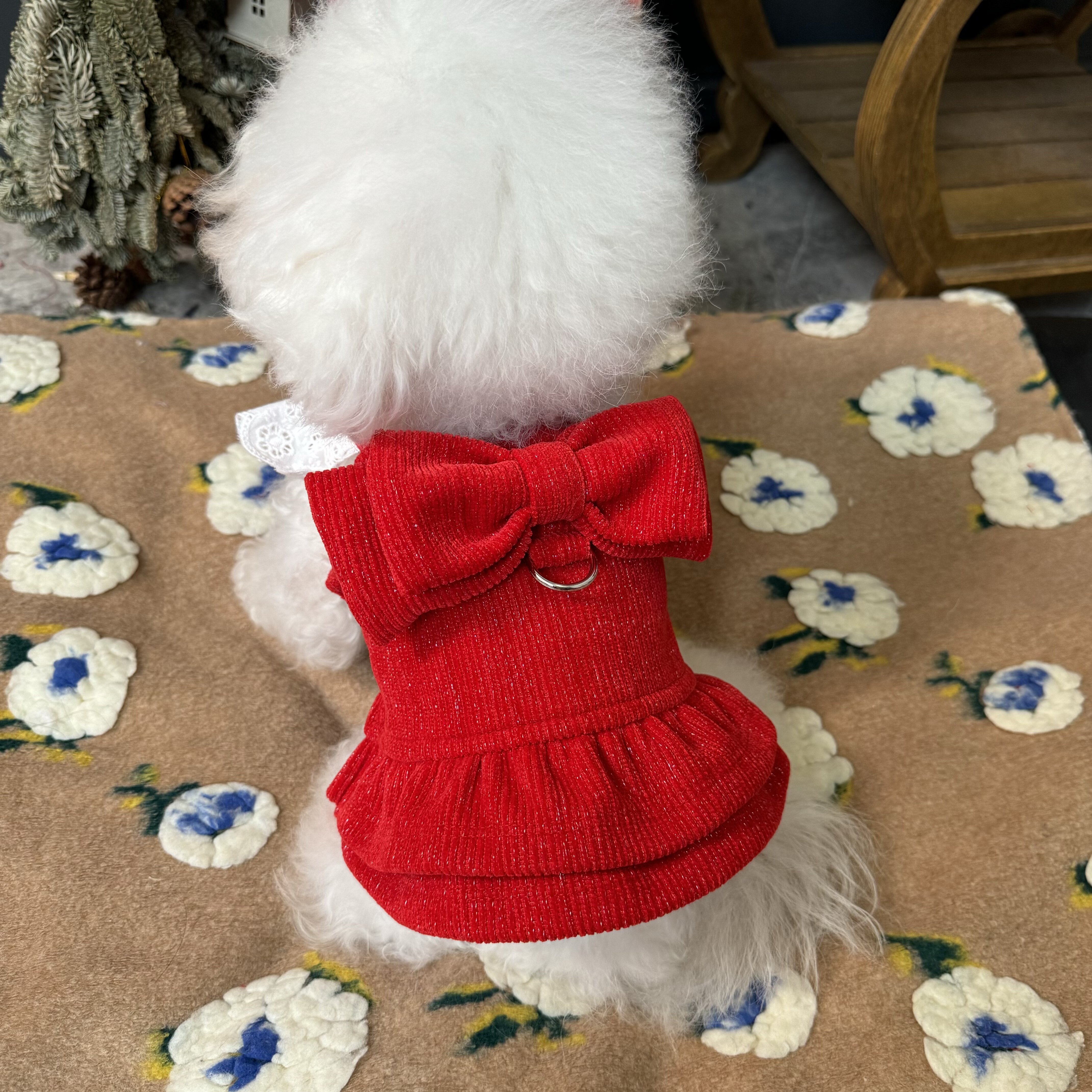 五只小白熊秋冬新款宠物衣服加绒灯芯绒裙子狗狗猫咪新年过年外套