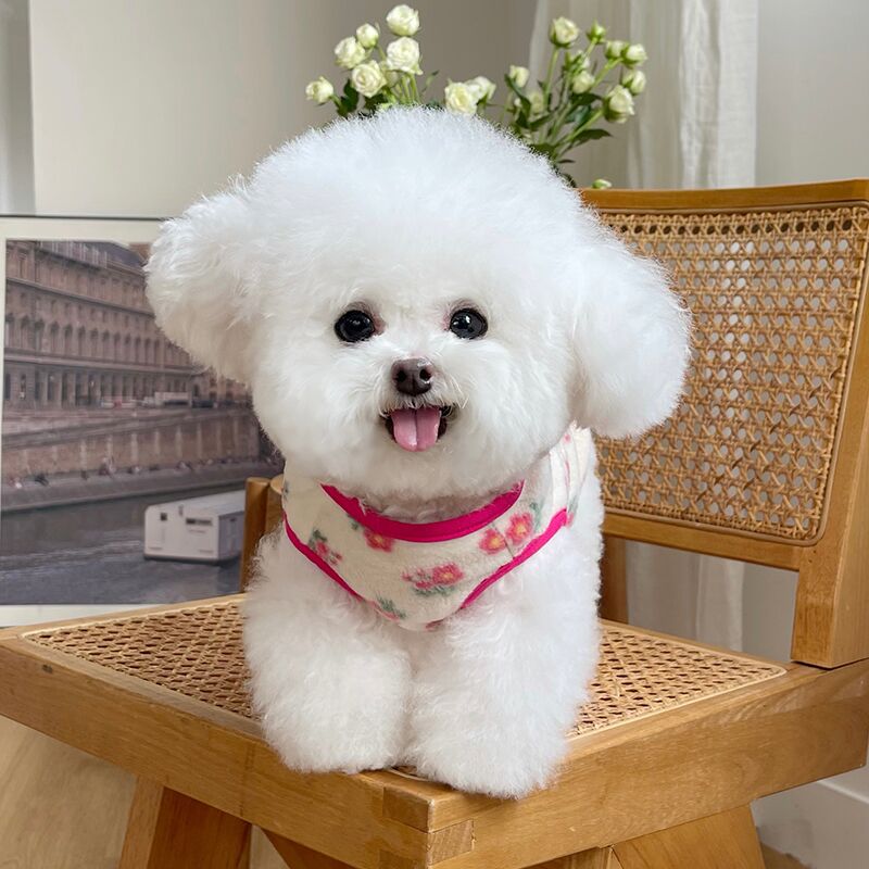 秋冬新款双面毛绒碎花马甲背心