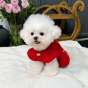 五只小白熊原创宠物衣服秋冬新款加绒毛衣开衫狗狗猫咪圣诞过年裙