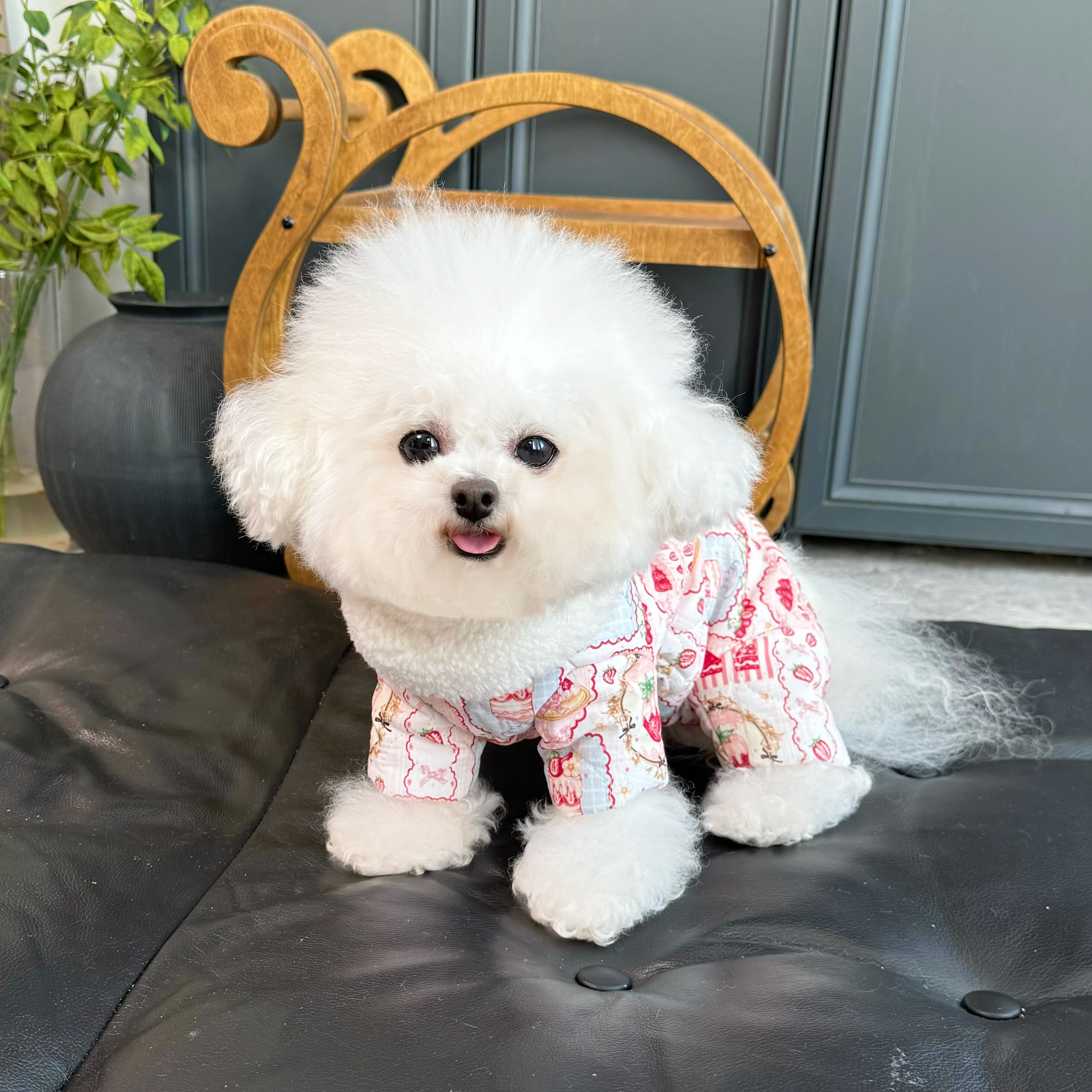 五只小白熊原创宠物衣服秋冬新款夹棉加绒四脚裤护肚衣狗狗猫外套,宠物/宠物食品及用品,狗宠物服装/雨衣,淘宝优惠券,粉丝福利购,淘宝优惠卷