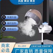 冷烫焗油机美发蒸汽机补水头发定型加速器烫发染发头发恒温护理