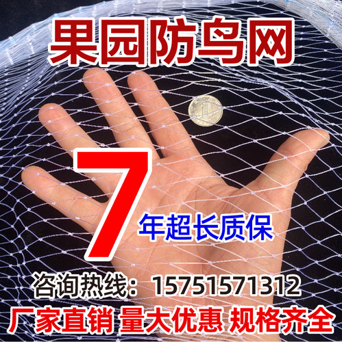 果园防鸟网防鸟网鱼塘养殖网
