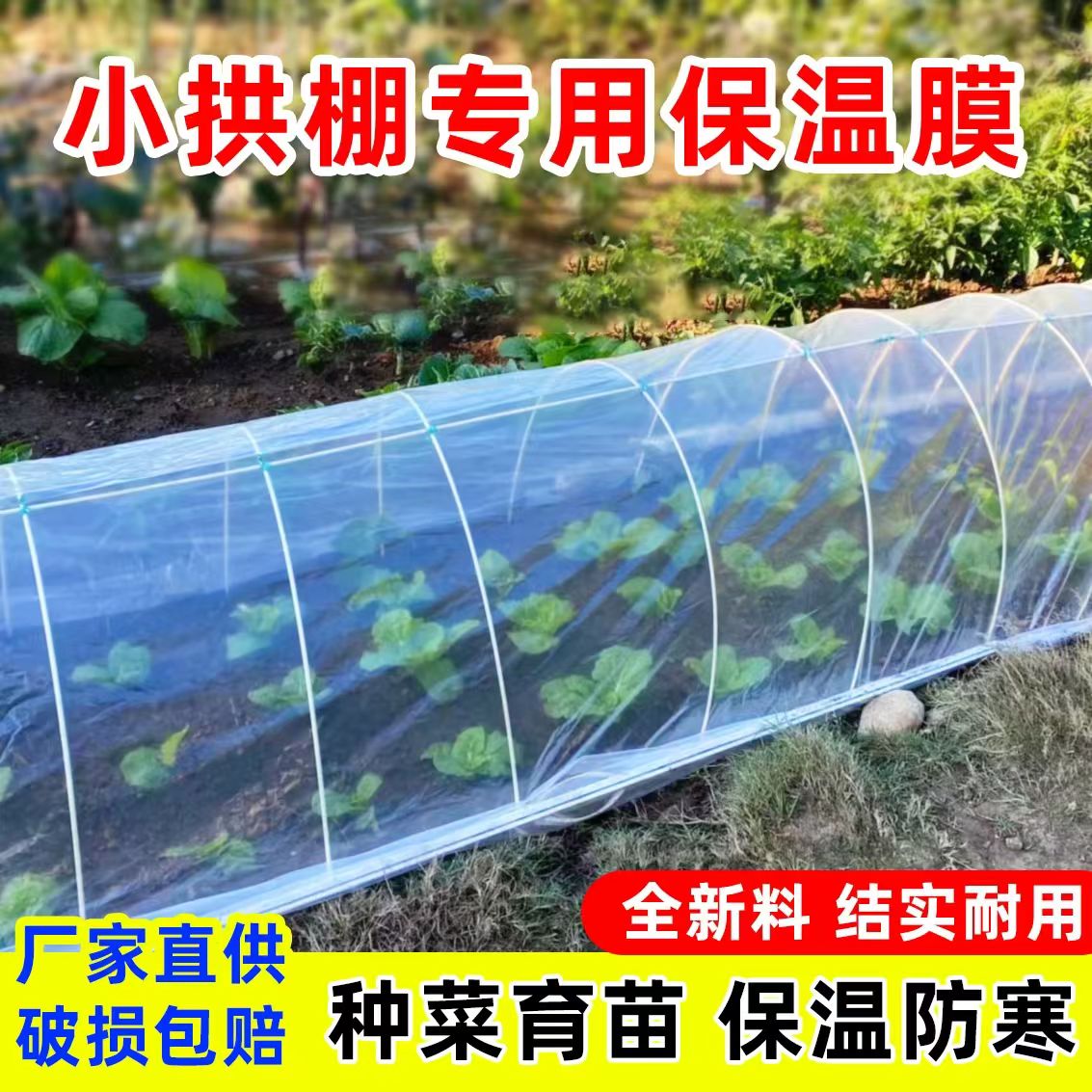 农用小拱棚PE薄膜保温防水防尘
