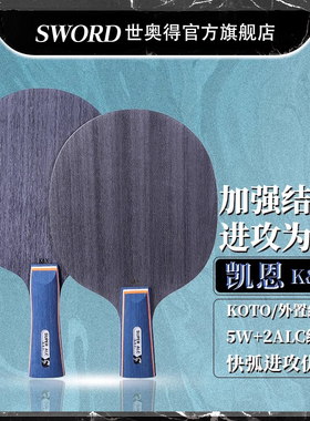 世奥得新款乒乓球拍单拍凯恩KN专业级1只VIS加强结构乒乓球底板