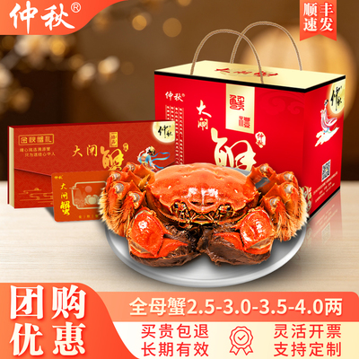 团购优惠全母蟹卡8只10只装