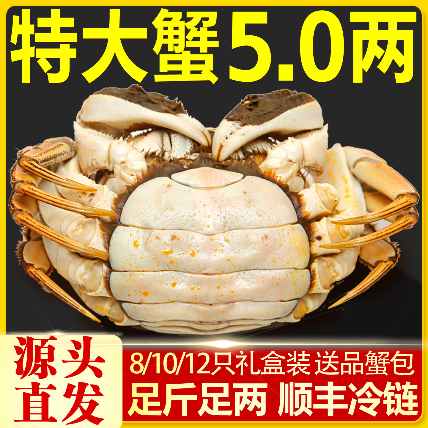 [活蟹]特大10只大闸蟹鲜活螃蟹全母蟹官方旗舰店阳澄礼盒河蟹湖鲜