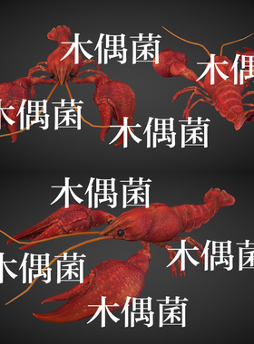 3种颜色c4d fbx格式骨骼绑定带动作小龙虾动物文件 非实物C461