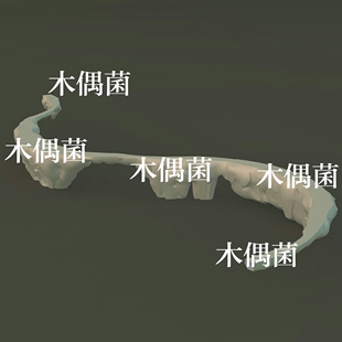 maya c4d fbx obj格式模型悬崖弯曲的长廊石路文件 非实物C147