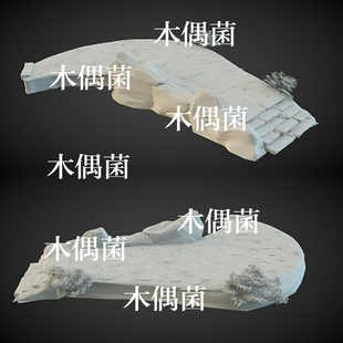 obj高精度古风路面地面台阶文件 maya fbx c4d 非实物C272 3dmax