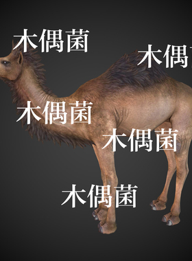 c4d fbx格式骨骼绑定带动作单峰骆驼动物模型文件 非实物C478