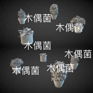 obj fbx 3ds格式 场景装 非实物C736 3dmax 饰盆栽植物文件 c4d