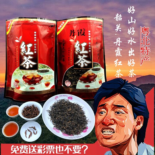 正宗特级浓香粤北韶关广东红山茶