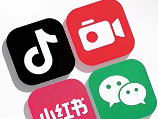 如果举报因为我的错，那我宁愿一错再错