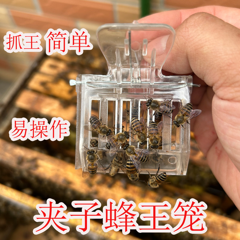夹子王笼蜜蜂王笼书夹王笼蜂王夹子养蜂工具囚王笼蜂王工具抓蜂王