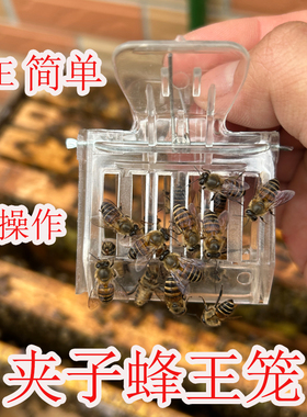 夹子王笼蜜蜂王笼书夹王笼蜂王夹子养蜂工具囚王笼蜂王工具抓蜂王