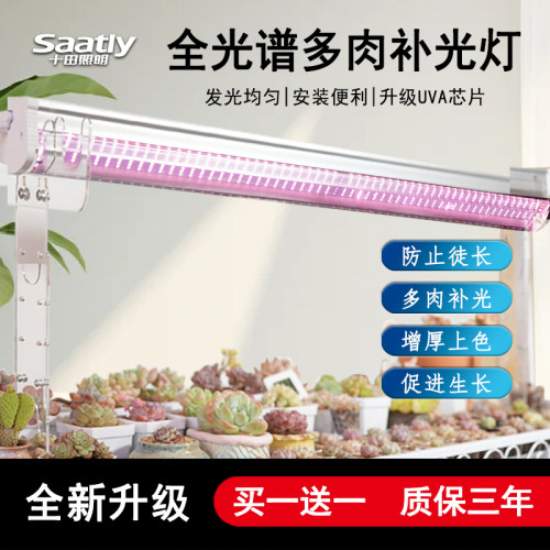 多肉补光灯植物生长灯买一送一