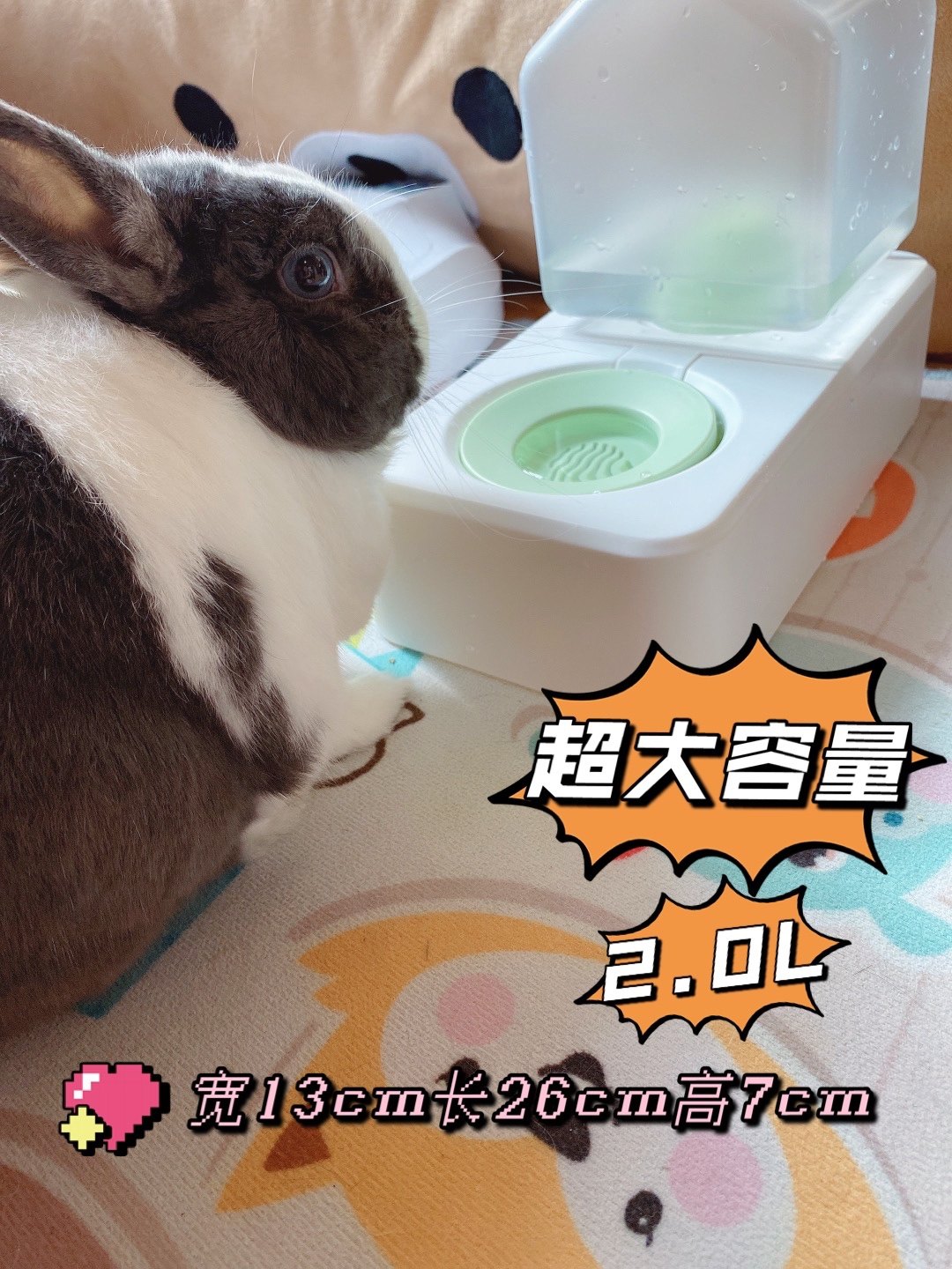 萌奇奇家 兔子猫咪饮水机宠物自动饮水器狗狗喝水器流动水盆神器,宠物/宠物食品及用品,兔兔饮水器,淘宝优惠券,粉丝福利购,淘宝优惠卷