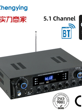 HiFi Digital Power Amplifier Bluetooth Speaker大功率功放机