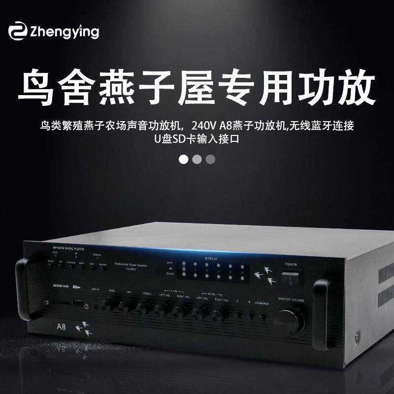 A8 Bird House Swallow House Special Amplifier大功率功放机