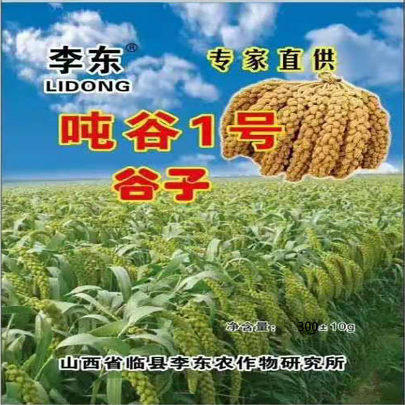 新选吨一号优良品种香米300g