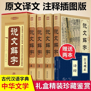 正版包邮现货 说文解字（全套四册）中国汉字源流 中国古代古汉语常用词典辞典 说文解字段玉裁注 汉子的故事 画说汉字畅销书籍