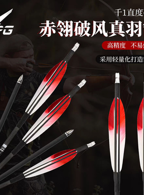 SPG真羽纯碳箭弓箭配件高精度不易爆杆千1直度竞技比赛射箭箭支