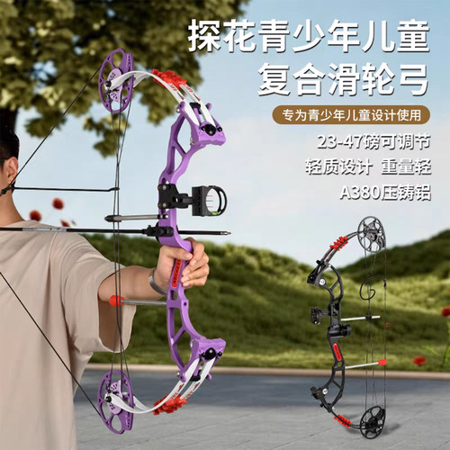 青少年复合滑轮弓射箭新手套装