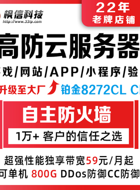 高防双线BGP五线独立物理服务器租用传奇微端网站页游戏秒解试用