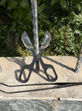 儿童户外探险自然大号黑色昆虫镊子圆头夹子塑料蝴蝶夹抓虫子玩具