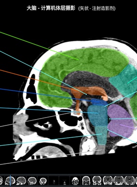 e-Anatomy解剖图集中文永久win安卓mac都能eanatomy（医生优惠）