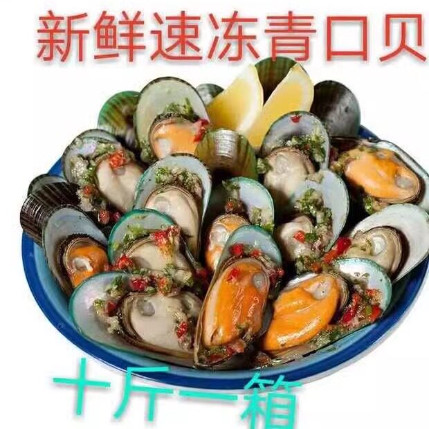 冷冻深海 新鲜 青口贝 海瓜子 半壳蛤蜊肉 十斤一箱包冰 近可包邮