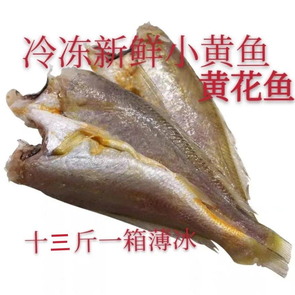 冷的深海新鲜 去头小黄鱼 黄花鱼 梅子鱼 十三斤带冰近可包邮