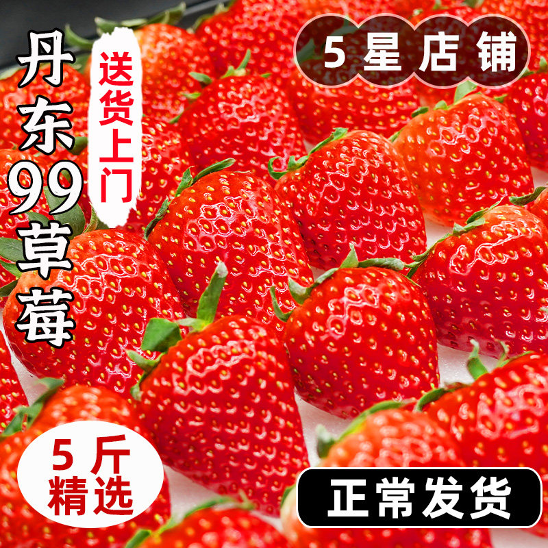 辽宁丹东99草莓红颜大草莓新鲜水果当季白奶油九九礼盒整箱包邮