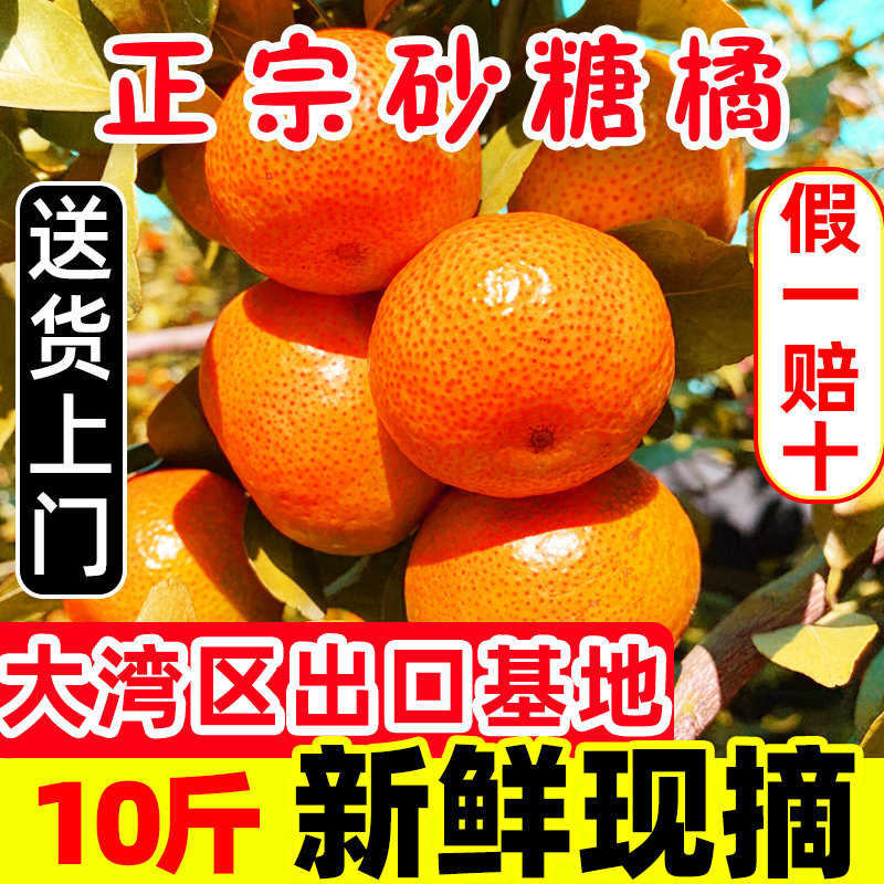 【正宗】广东砂糖橘20斤新鲜增城沙糖桔当季水果现摘整箱10包邮