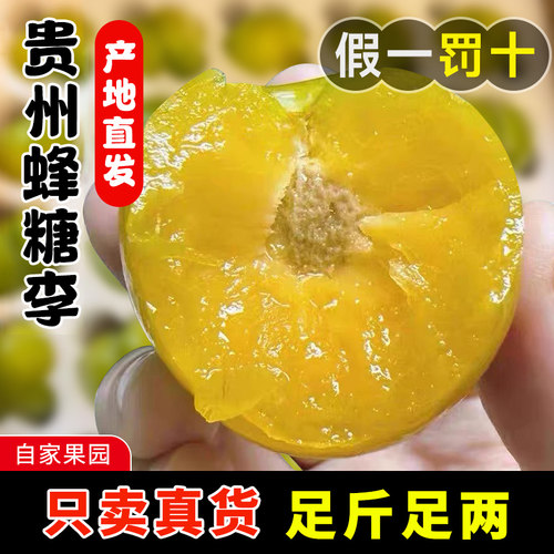 正宗贵州安顺蜂糖李新鲜现摘